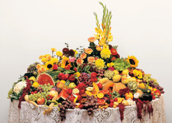 ECO-LÓGICAS LATINAS