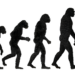 EVOLUÇÃO HUMANA