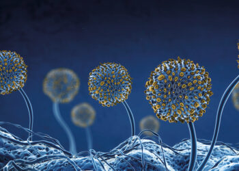 MAIS UM F, POR FAVOR!