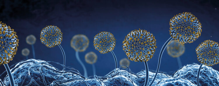 MAIS UM F, POR FAVOR!