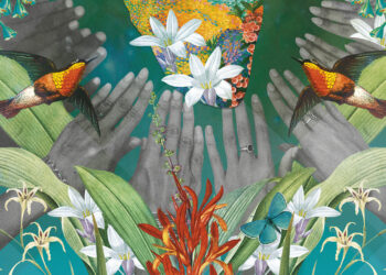 CONHECER PARA INCLUIR