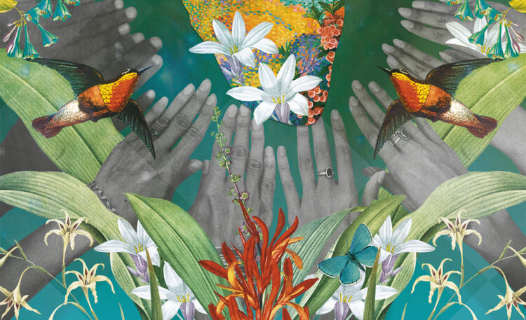 CONHECER PARA INCLUIR