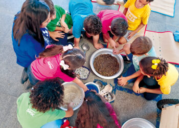 UM “POR QUÊ?” PUXA O OUTRO: O BRINCAR COMO PERCURSO PARA UM FUTURO MAIS SUSTENTÁVEL