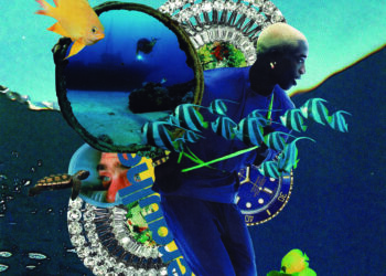 SOBRE A CAPA DA REVISTA