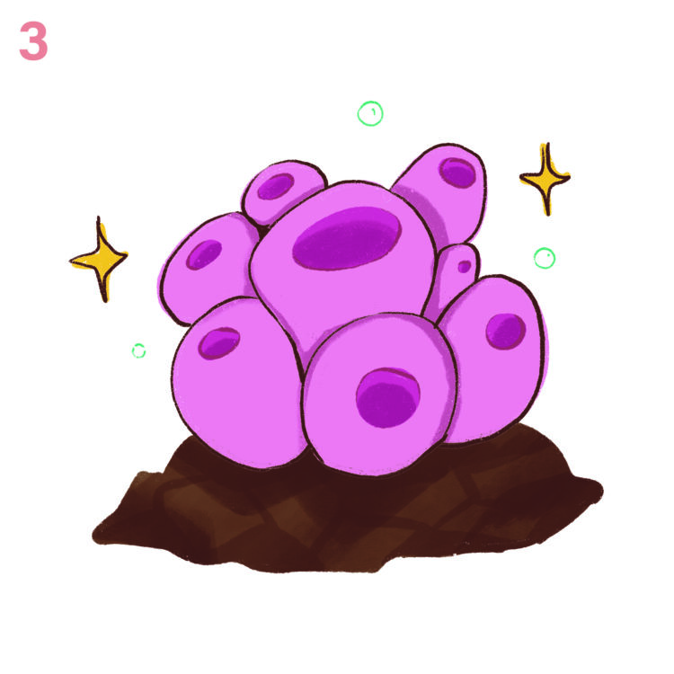 OCEANOS, DIVERSIDADE E VIDA O QUE OS OCEANOS PODEM NOS DIZER SOBRE DIVERSIDADE