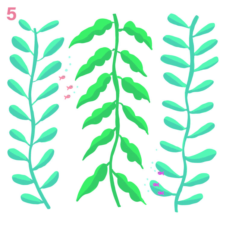 OCEANOS, DIVERSIDADE E VIDA O QUE OS OCEANOS PODEM NOS DIZER SOBRE DIVERSIDADE