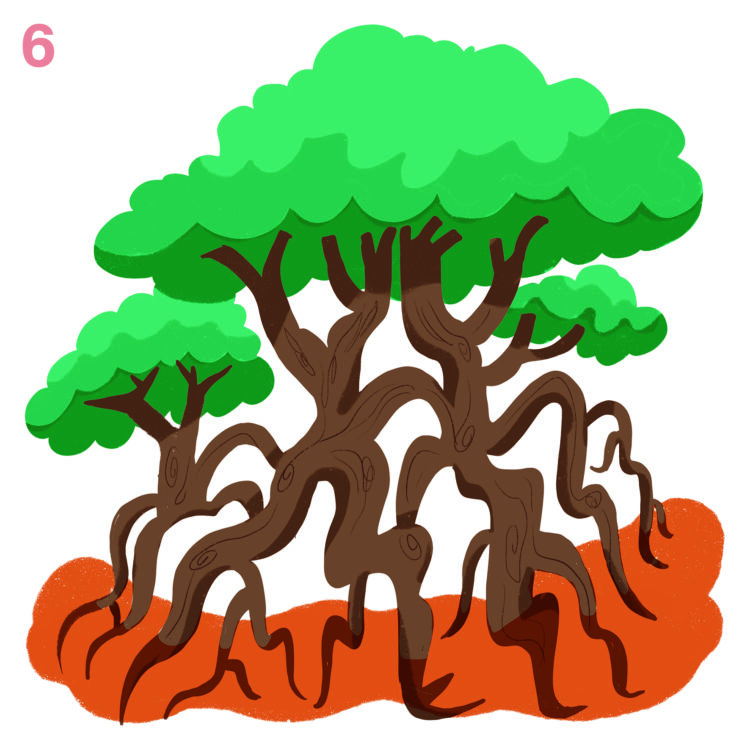 OCEANOS, DIVERSIDADE E VIDA O QUE OS OCEANOS PODEM NOS DIZER SOBRE DIVERSIDADE