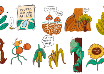 MENSAGENS NO AR E NO SOLO