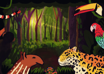 O CORAÇÃO DAS FLORESTAS