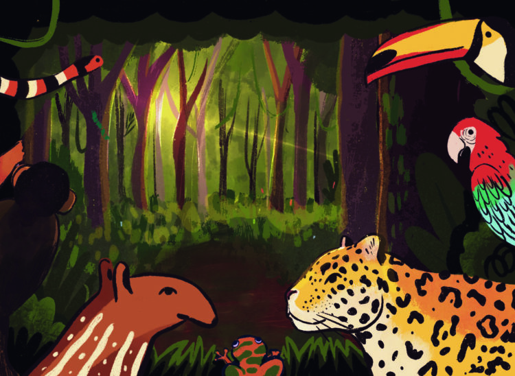 O CORAÇÃO DAS FLORESTAS