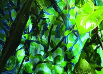 SOBRE A CAPA DA REVISTA