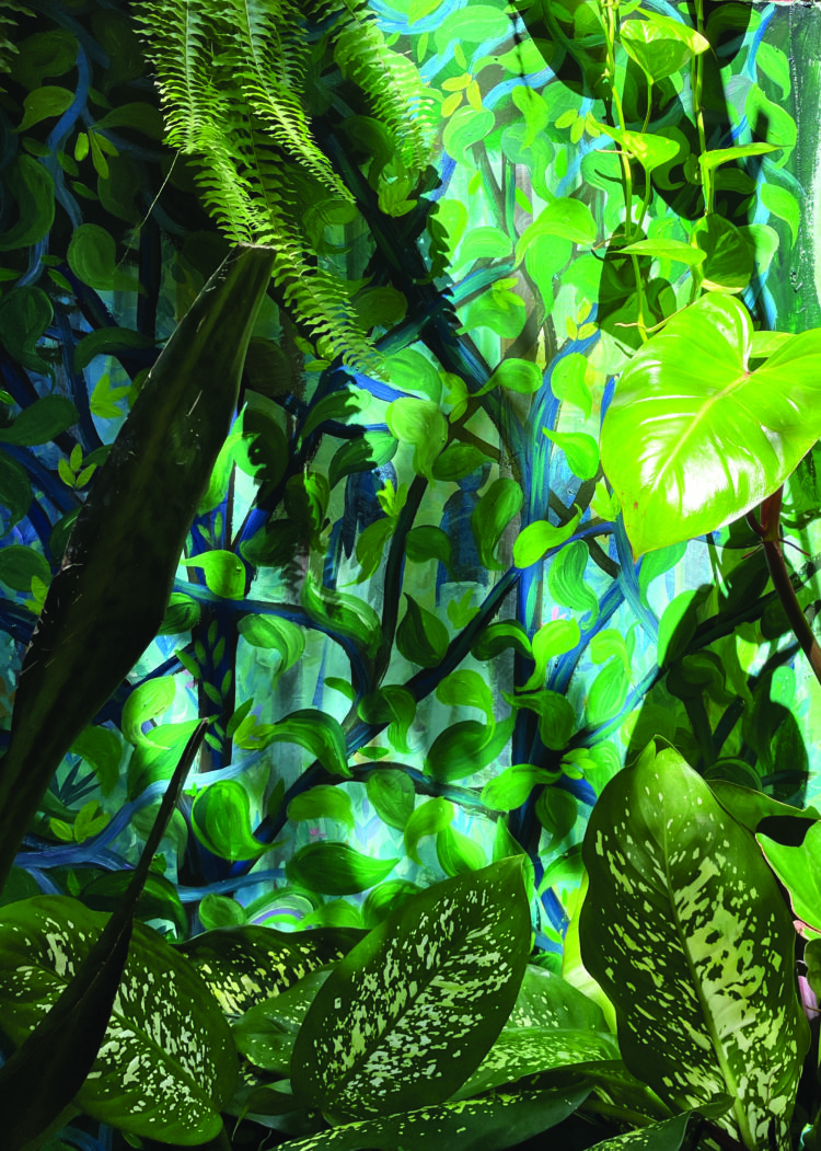 SOBRE A CAPA DA REVISTA