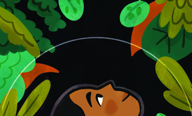 AS PLANTAS E MINHA COMPREENSÃO COLETIVA DE MUNDO