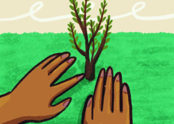 DA FLORESTA, UM MUNDO COMO ARTE, CIÊNCIA E FILOSOFIA NOS AJUDAM A ENXERGAR REDES QUE NOS SUSTENTAM