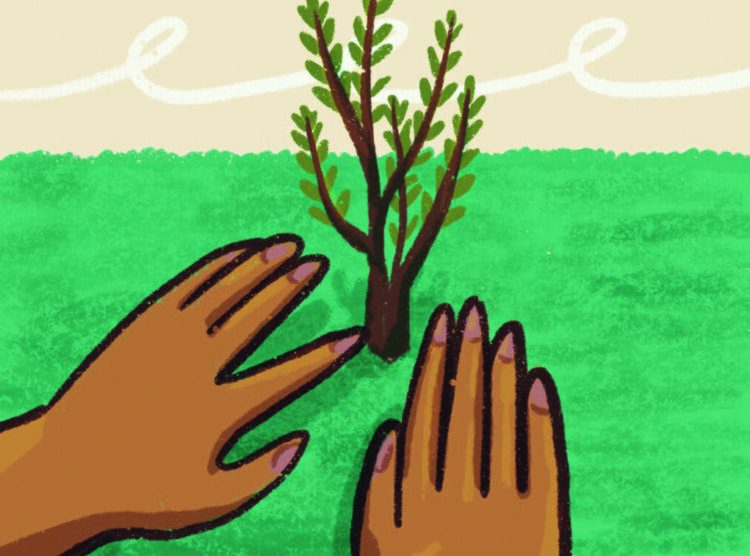 DA FLORESTA, UM MUNDO COMO ARTE, CIÊNCIA E FILOSOFIA NOS AJUDAM A ENXERGAR REDES QUE NOS SUSTENTAM