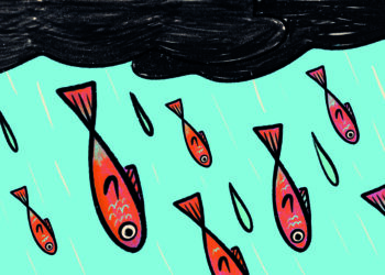 CHUVA DE PEIXES