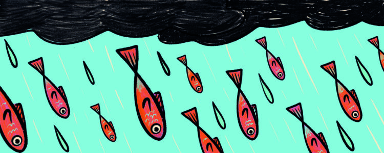 CHUVA DE PEIXES